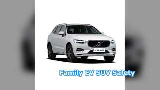 48v 라이트 하이브리드 EV SUV 패밀리카