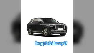 Hongqi E-HS9 7인승 EV SUV 장거리