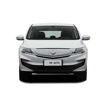 라이프안 단풍 잎 80V MPV EV 5 문 6 좌석 원거리 편안한 비즈니스