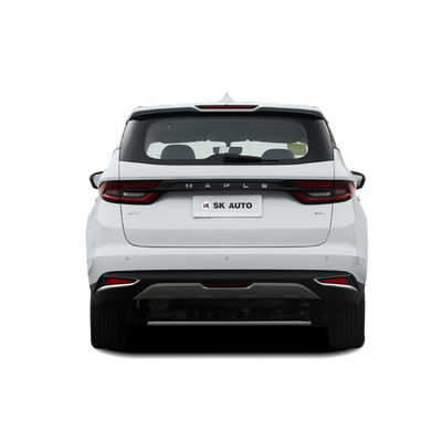 라이프안 단풍 잎 80V MPV EV 5 문 6 좌석 원거리 편안한 비즈니스