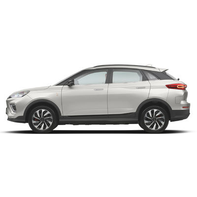 가족들을 위한 높은 고속 160 km/H 웰티엠이스터 Ex5 원거리 Suv 0.5h 빠른 충전