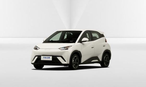 4 좌석 용량 BYD 세이글 전기 자동차 최고 속도 130 Km/h 및 성능