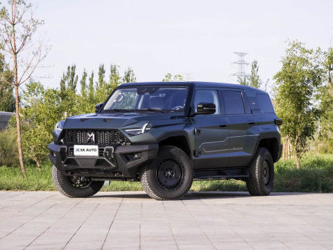 2024 M-Terrain 917 확장 범위 기본판 자동차 EV