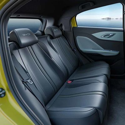 5석 BYD EV 자동차 해조류 전기 차량