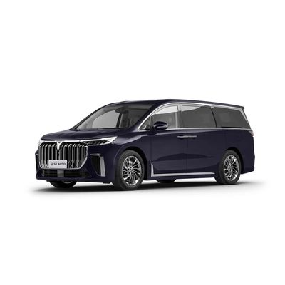 가족 또는 사업을 위한 Ev 자동차 MPV 4WD 전기 자동차를 위치시키는 부아카 몽상가 7 좌석 고급