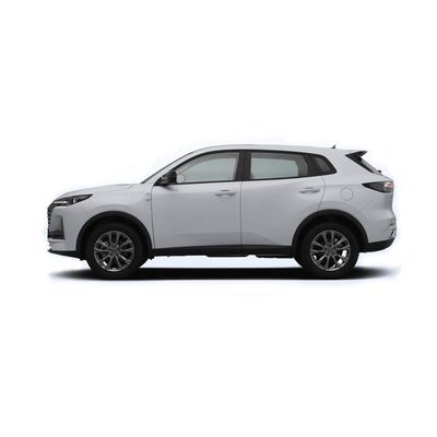 4 문 5 자리 치안 CS55 플러스 2023 흰긴수염고래 버전 1.5T DCT 휘발유
