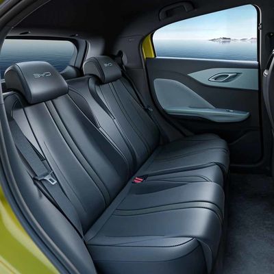 5석 BYD EV 자동차 전력 절감 등과 함께 내부 기능 청정 에너지 전기 자동차 해조류
