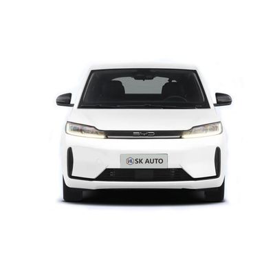 바이드 D1 418 킬로미터 완전히 전기 SUV 5 좌석 비즈니스 전기 햄프프 자동차