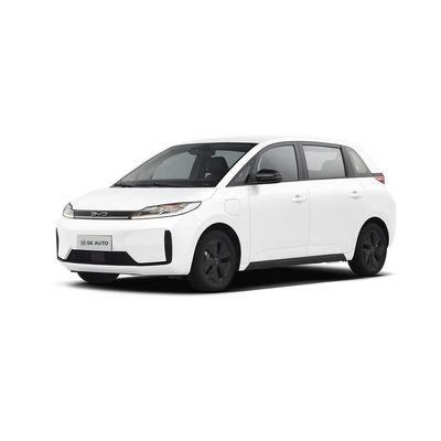 바이드 D1 418 킬로미터 완전히 전기 SUV 5 좌석 비즈니스 전기 햄프프 자동차