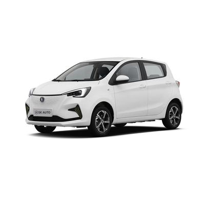 2024 춘천 E-스타 EV 미니카 순 전기 자동차 유로 VI 표준 세금 없는 전기 자동차