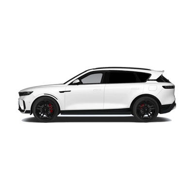 2025 VOYAH 무료 318 중국 신 에너지 차량 SUV 범위 318KM 후륜 구동 4륜