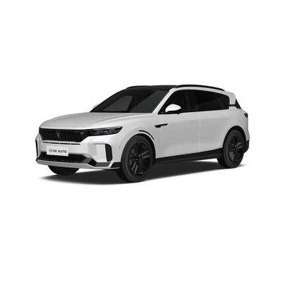 2025 VOYAH 무료 318 중국 신 에너지 차량 SUV 범위 318KM 후륜 구동 4륜