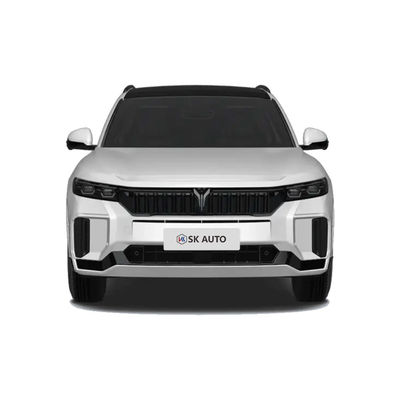 2025 VOYAH 무료 318 중국 신 에너지 차량 SUV 범위 318KM 후륜 구동 4륜