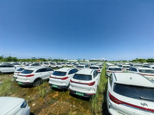 중고용 400km 160kW 전기 SUV 웰트마이스터 중고용 자동차