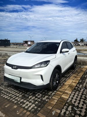 중고용 웰트마이스터 전기 SUV EX5 EV 2020 400km
