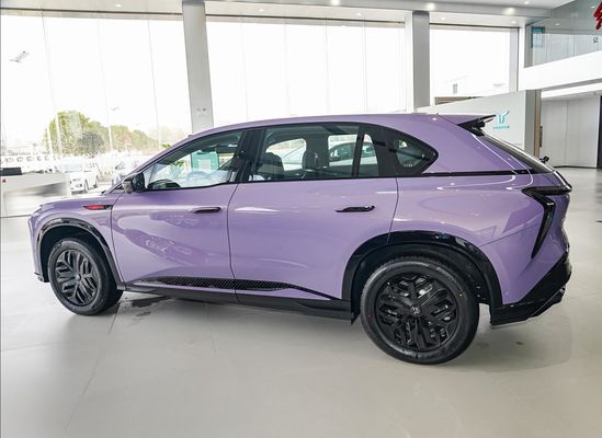 202/253 KW 모터 홍콩 리무진 전기 자동차 최대 속도 200 Km/h 및 길이 4925mm