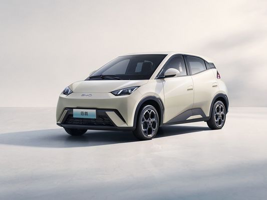 2025 신형 BYD 세이글 고속 충전 전기 차량 핫 판매 미니 EV 장거리 및 큰 배터리 405KM