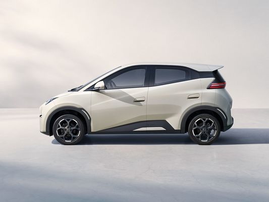 2025 신형 BYD 세이글 고속 충전 전기 차량 핫 판매 미니 EV 장거리 및 큰 배터리 405KM