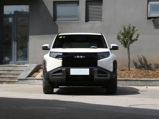 레오파르드 3 BYD EV 2025 신형 전기차 고속 충전 SUV 501KM 장거리 대공간 럭셔리 디자인 선루프 좋은 제안